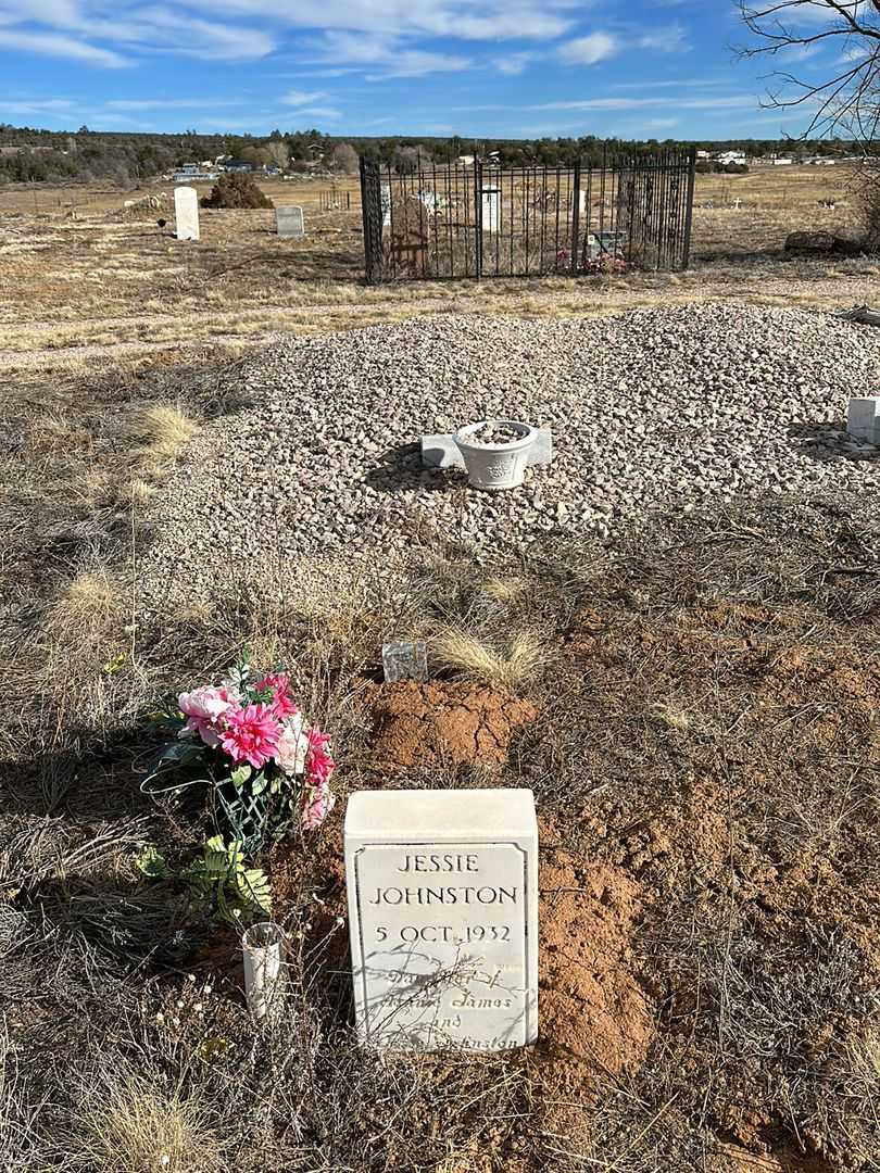 Jessie Johnston's grave. Photo 2
