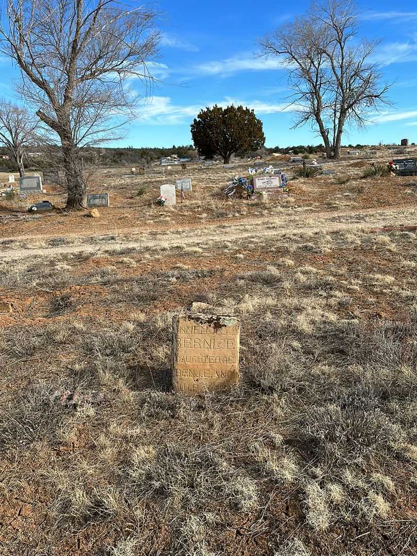 Bernice Palmer's grave. Photo 2