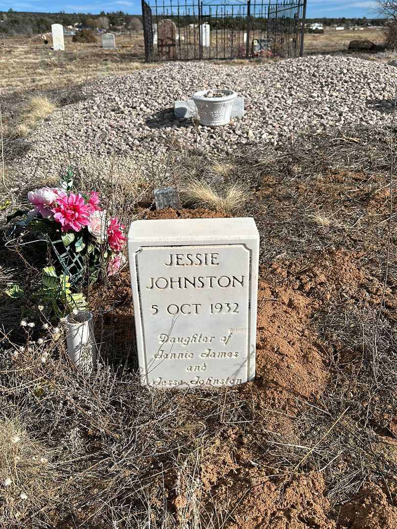 Jessie Johnston's grave. Photo 1