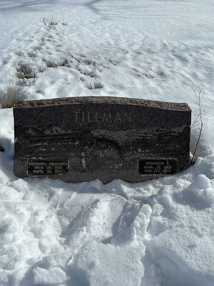 Winfred L. Tillman's grave. Photo 1