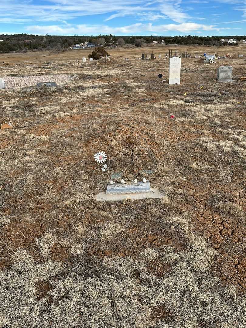 Katie James Mason's grave. Photo 2