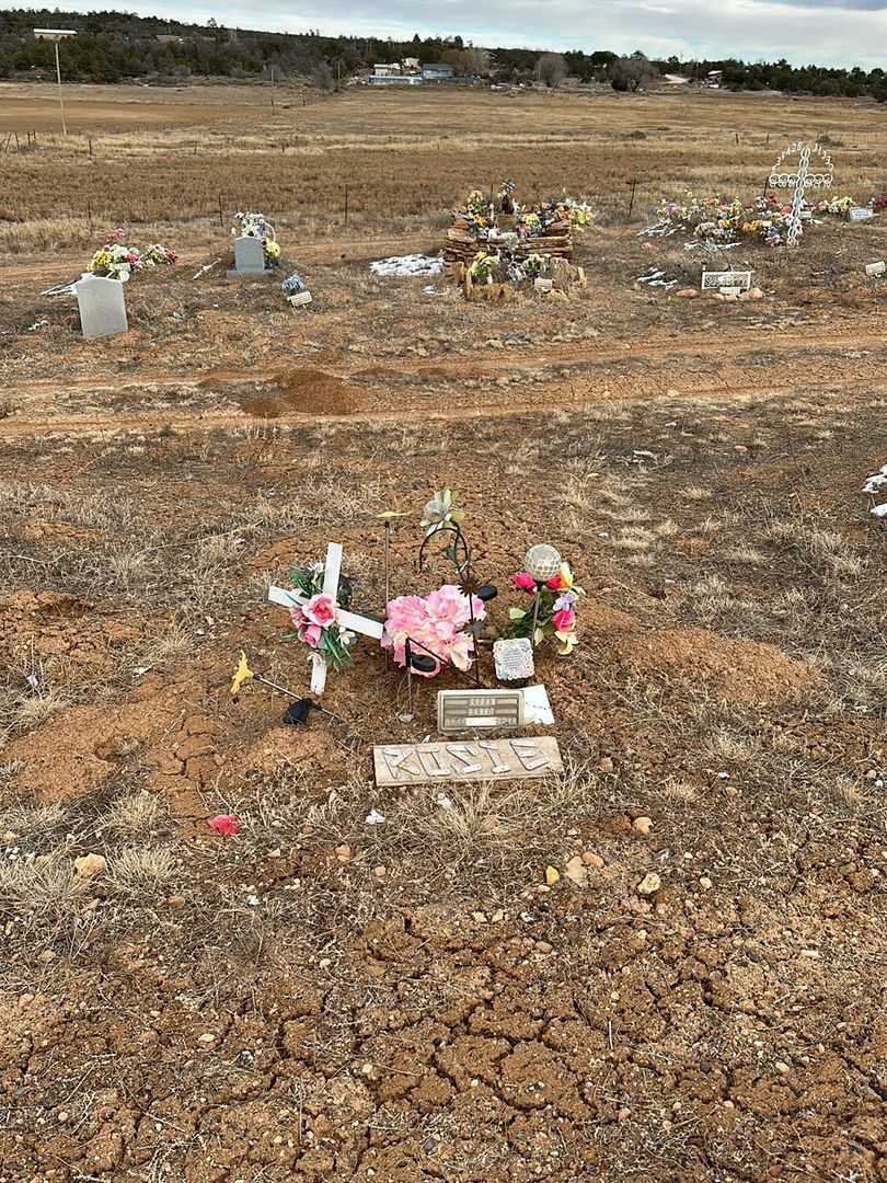 Rosie Skeet's grave. Photo 2