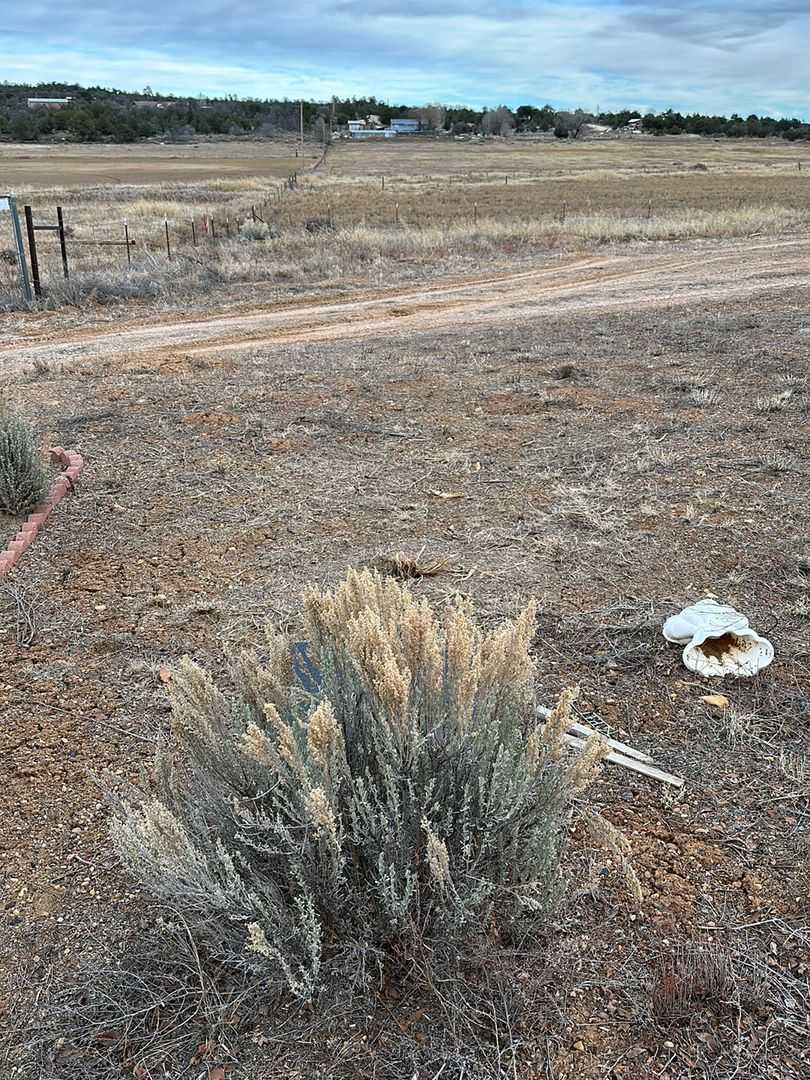 Leroy Adair's grave. Photo 2