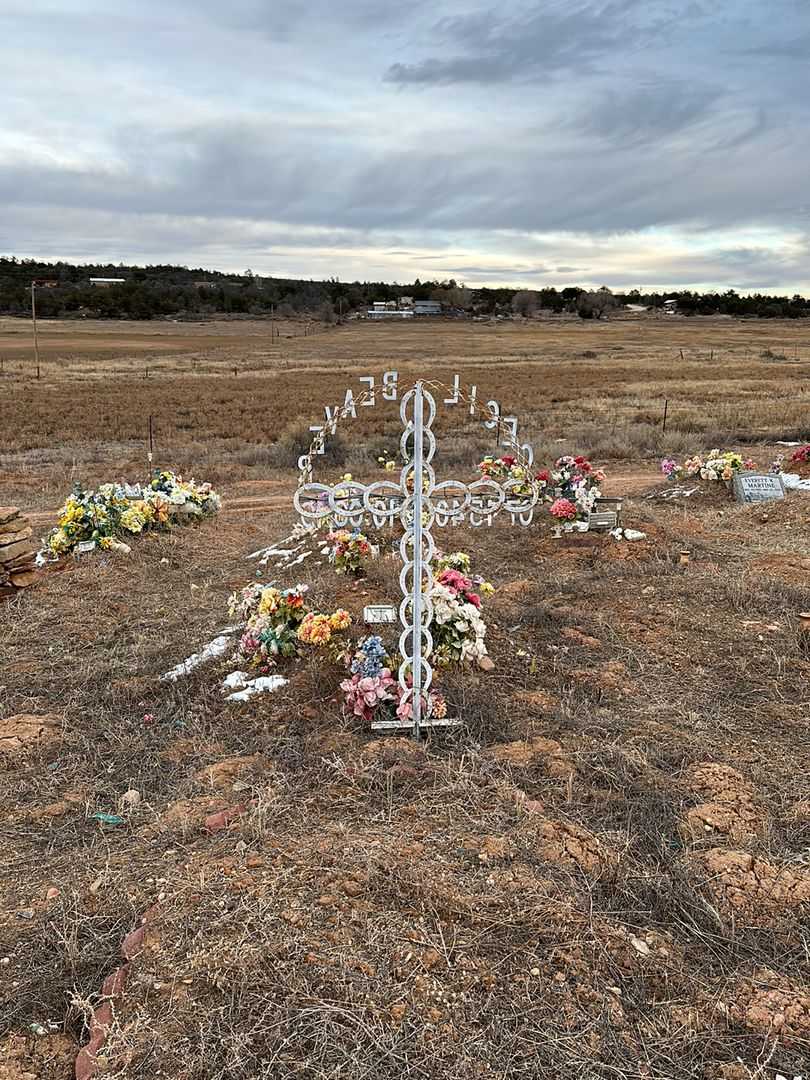 Cecil Beaver's grave. Photo 2