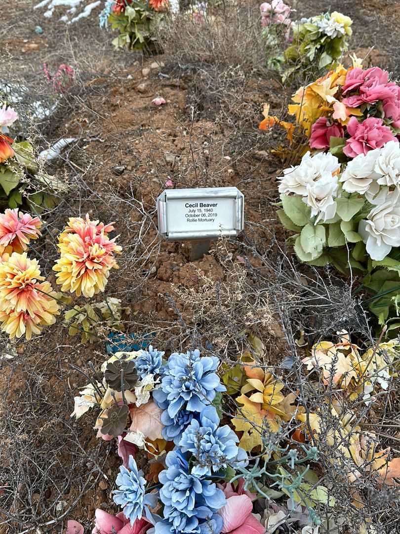 Cecil Beaver's grave. Photo 1