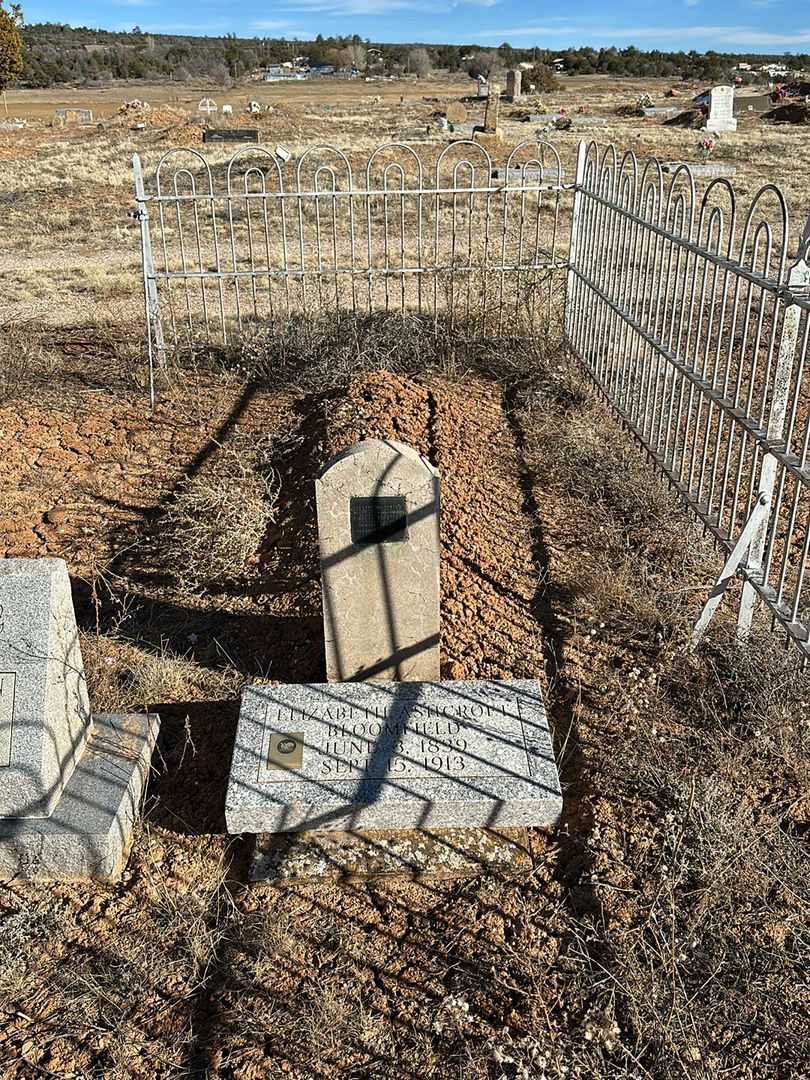 Elizabeth Ann Barton Ashcroft Bloomfield's grave. Photo 2