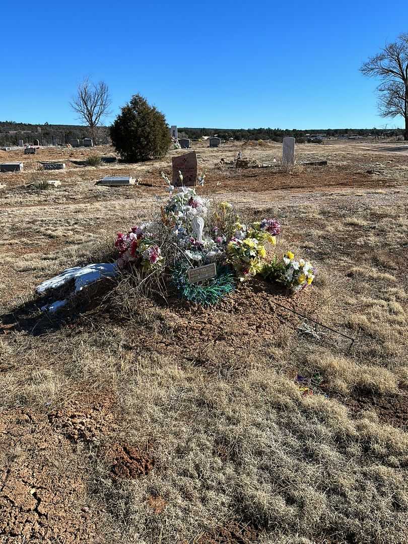 Shirley M. White's grave. Photo 2