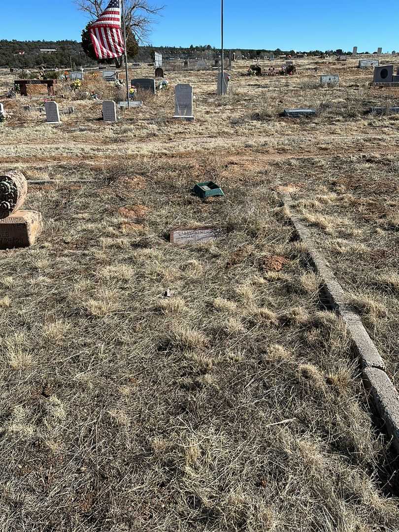 Larry Kent James's grave. Photo 2