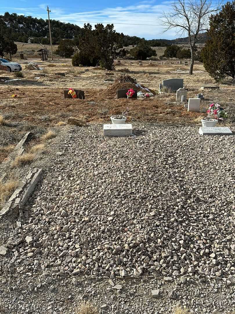 Jennie James Gallagher Johnston's grave. Photo 2
