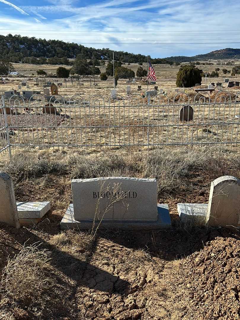 Elizabeth Ann Barton Ashcroft Bloomfield's grave. Photo 4
