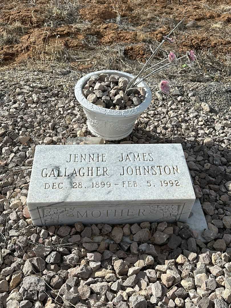 Jennie James Gallagher Johnston's grave. Photo 1