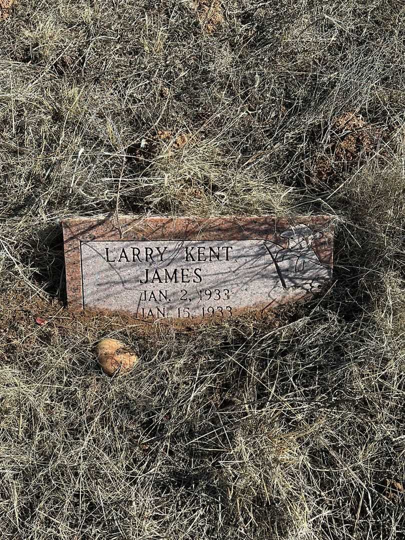 Larry Kent James's grave. Photo 1