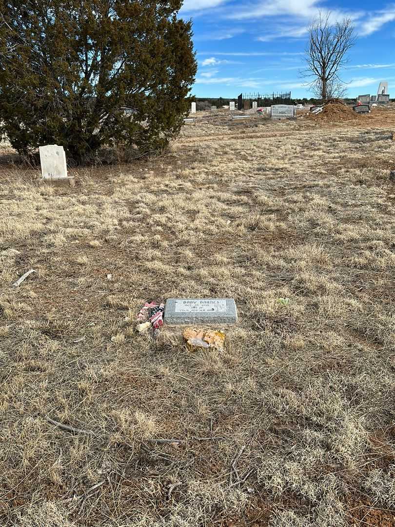 Baby Barnes's grave. Photo 2