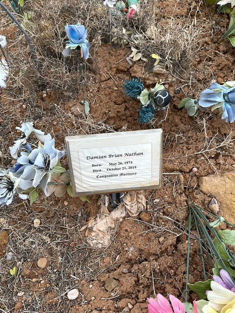 Damian Brian Nathan's grave. Photo 1