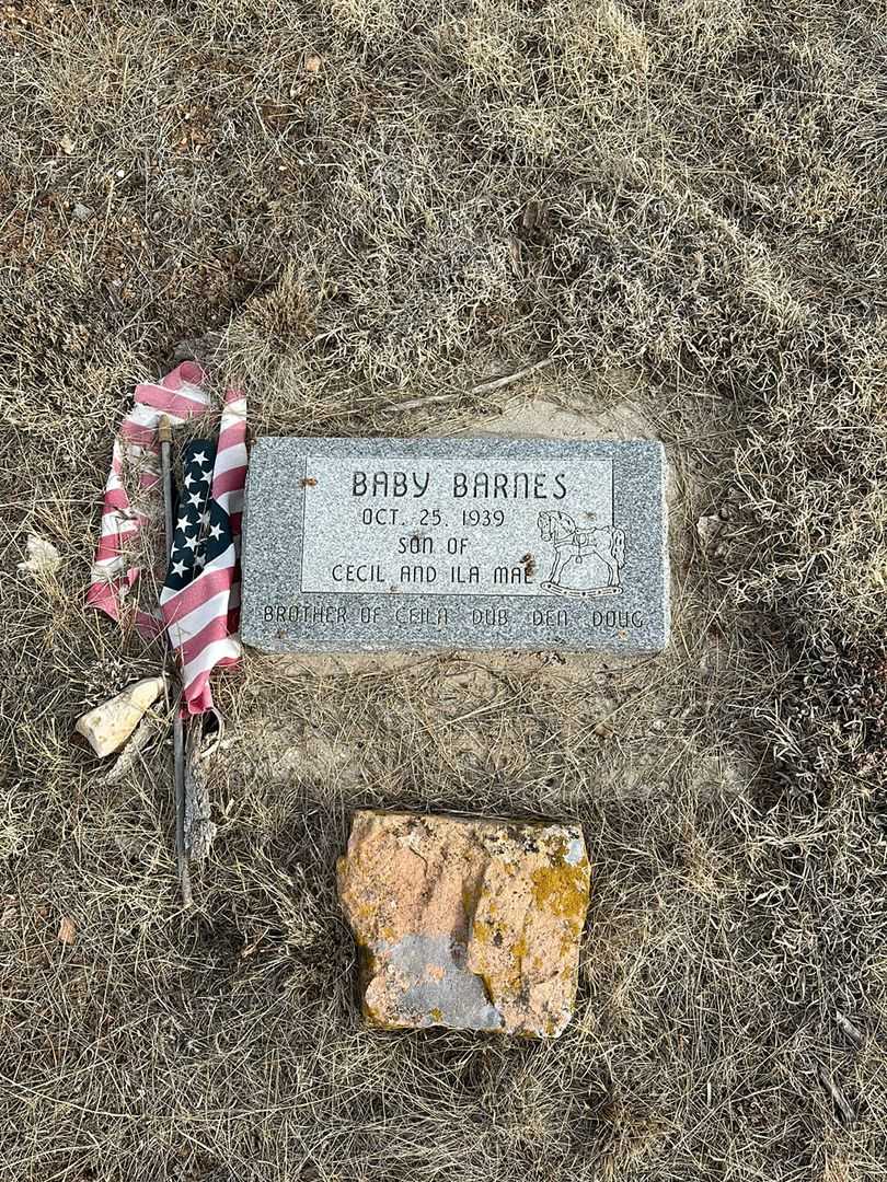 Baby Barnes's grave. Photo 1