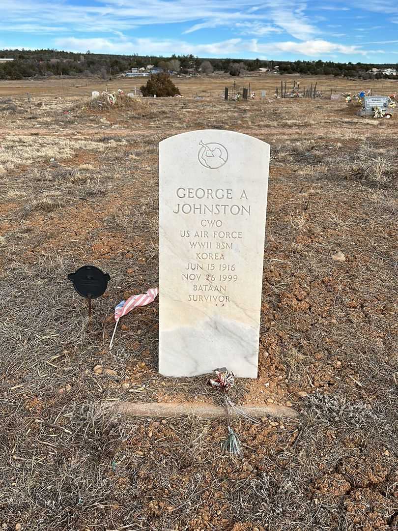 George Abner Johnston's grave. Photo 1