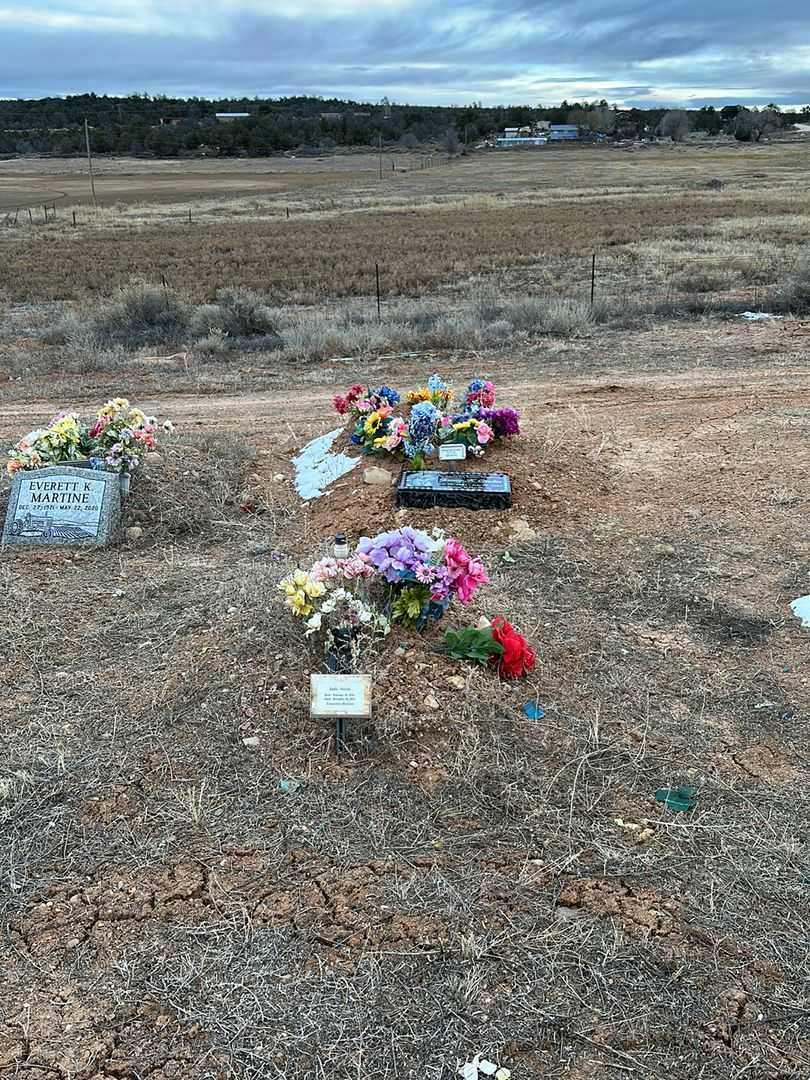 Sadie Natan's grave. Photo 2