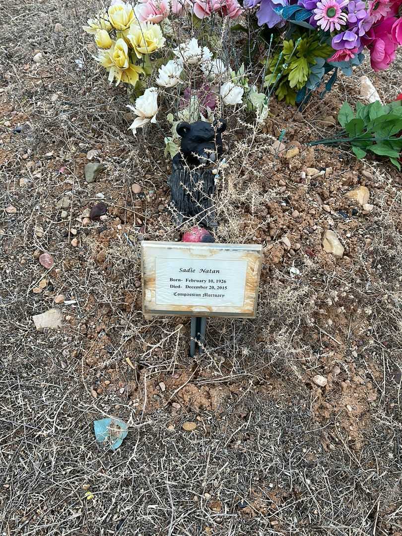 Sadie Natan's grave. Photo 1