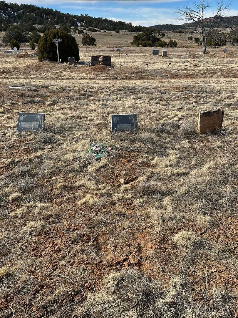 Abner Y. Davis's grave. Photo 2
