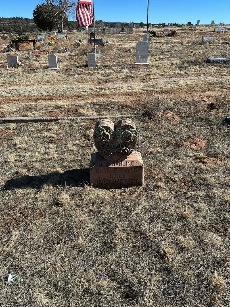 Charle Wayne James's grave. Photo 2