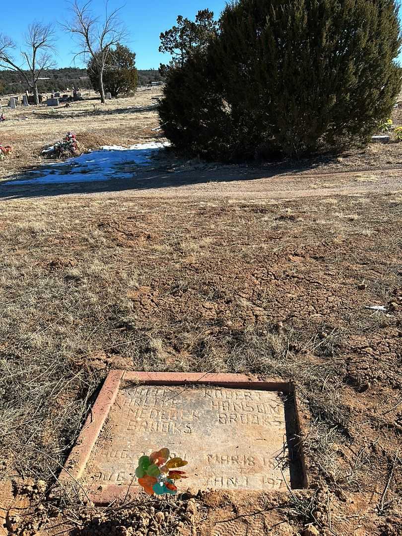 Robert Hanson Brooks's grave. Photo 1