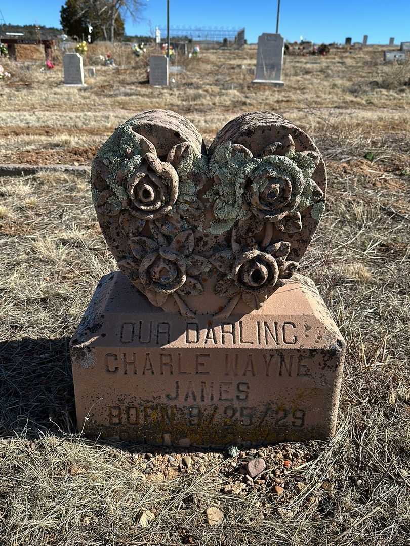 Charle Wayne James's grave. Photo 1