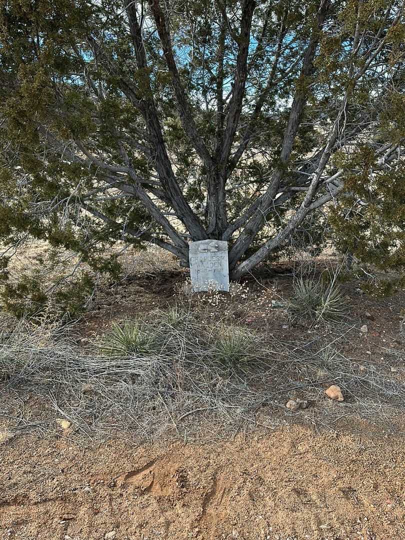 Charles M. Walden's grave. Photo 2