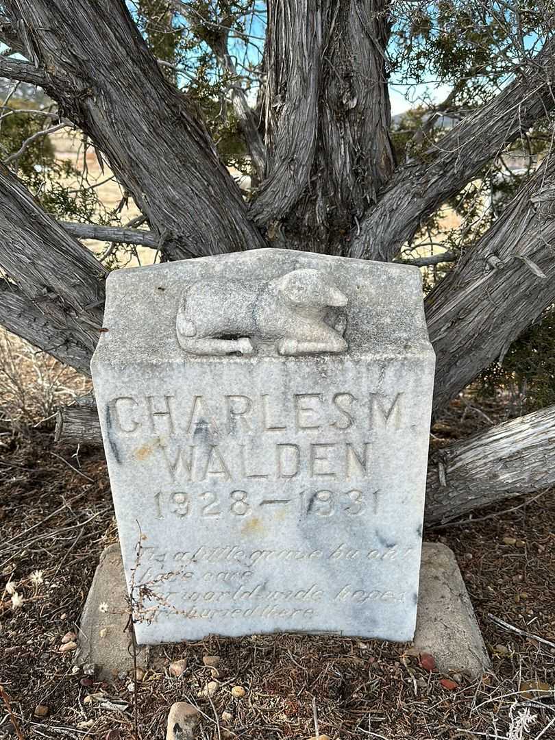 Charles M. Walden's grave. Photo 1