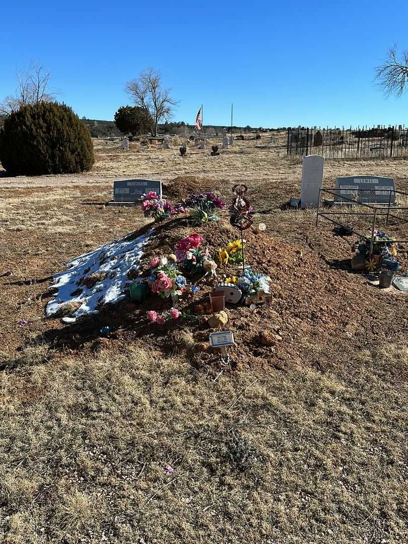 Elvin Lewis's grave. Photo 2