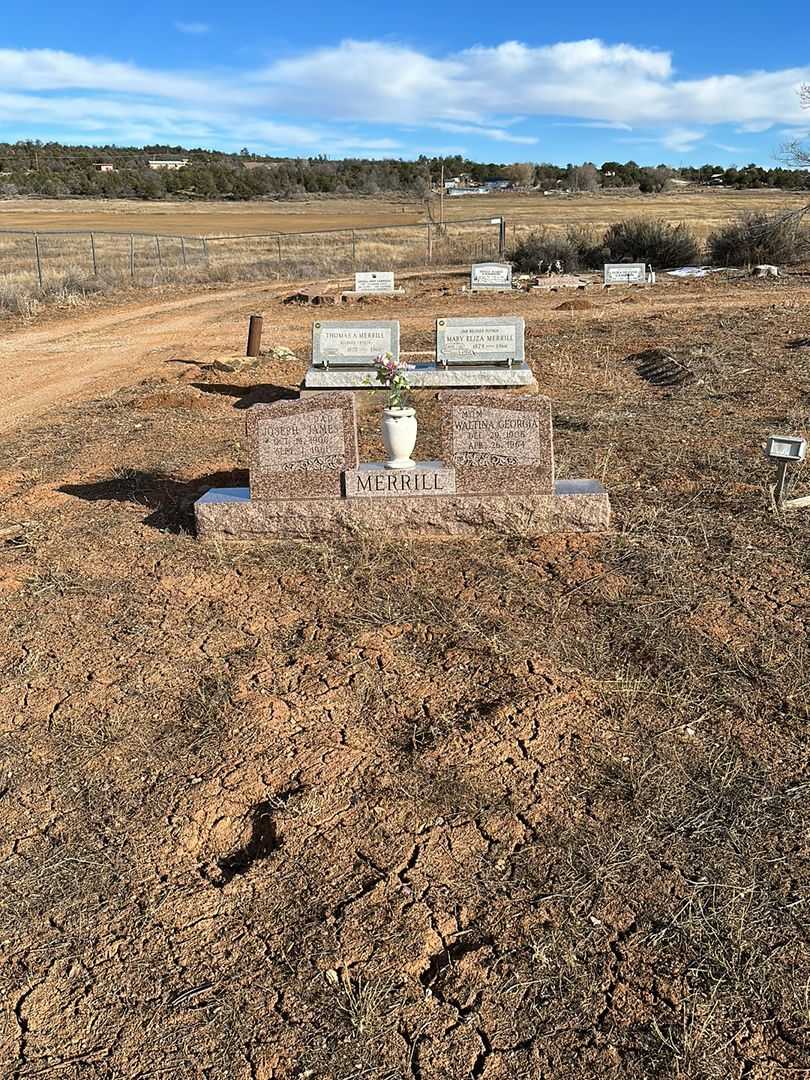 Waltina Georgia Merrill's grave. Photo 1