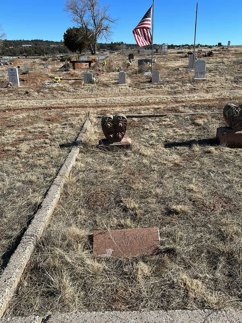 Harriet Ann James's grave. Photo 2