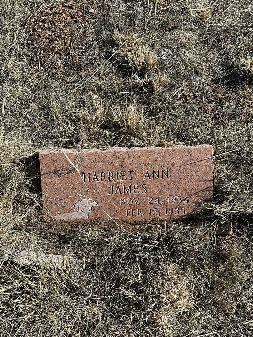 Harriet Ann James's grave. Photo 1