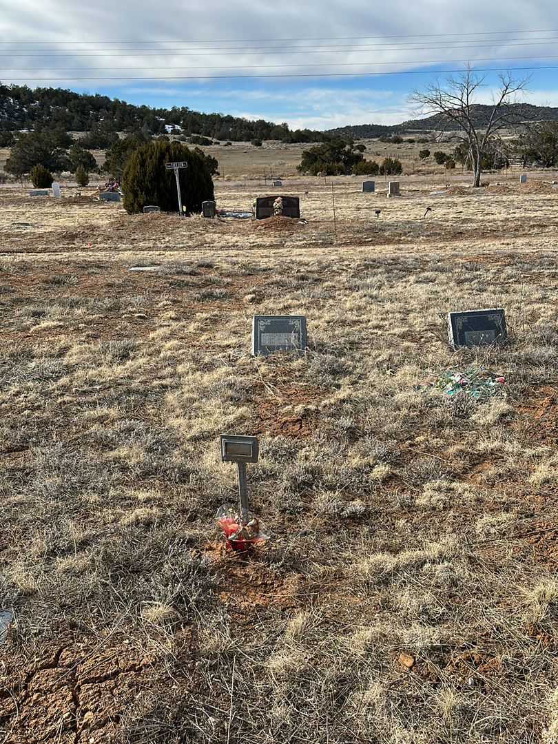 Plantaganet E. Davis's grave. Photo 2