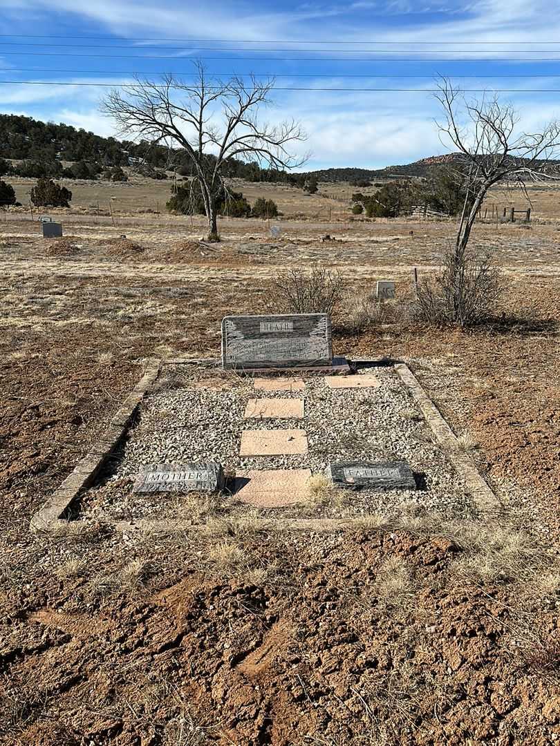 Jacob Fluker "George" Heath's grave. Photo 1