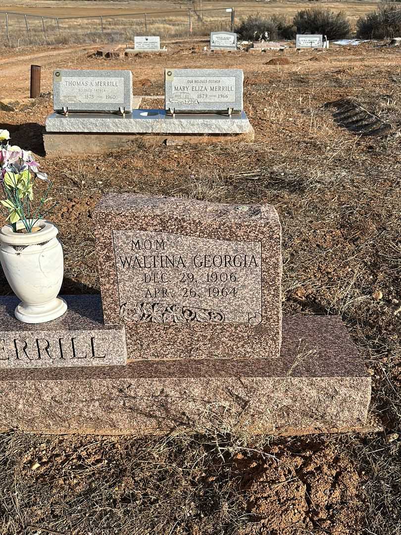 Waltina Georgia Merrill's grave. Photo 2