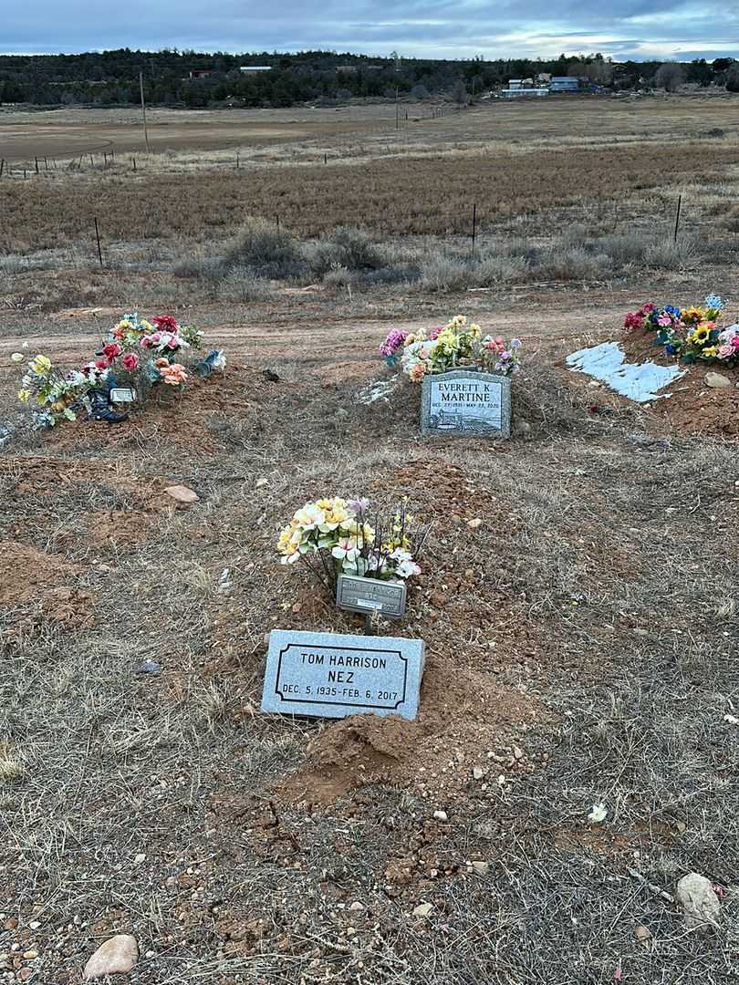 Tom Harrison Nez's grave. Photo 2