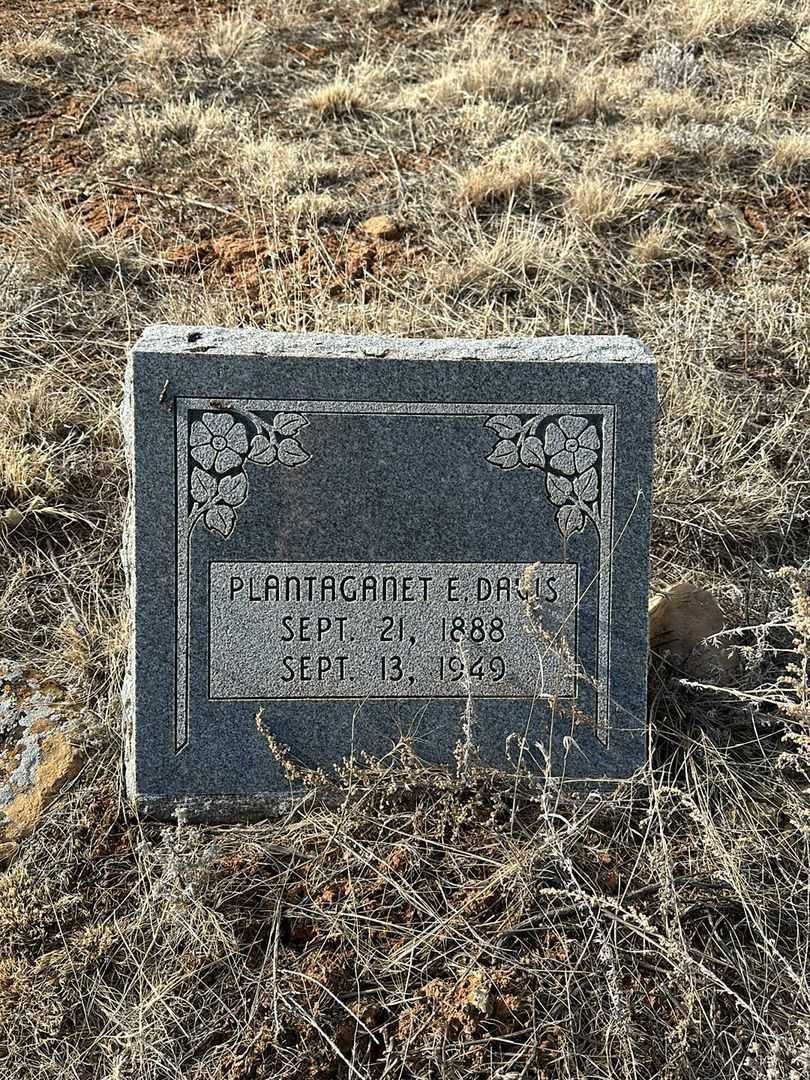 Plantaganet E. Davis's grave. Photo 1