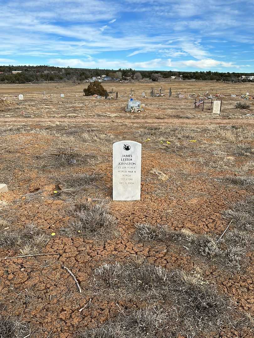 James Lester Johnston's grave. Photo 2