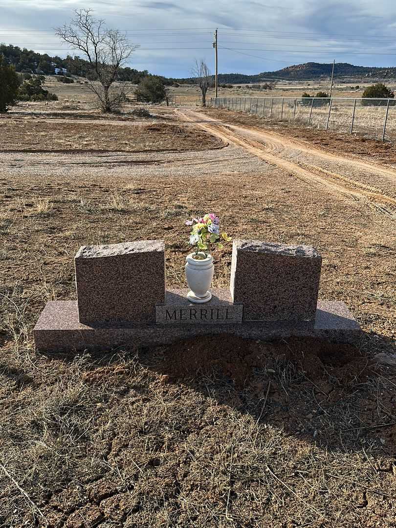 Waltina Georgia Merrill's grave. Photo 3