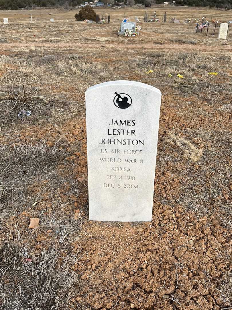 James Lester Johnston's grave. Photo 1