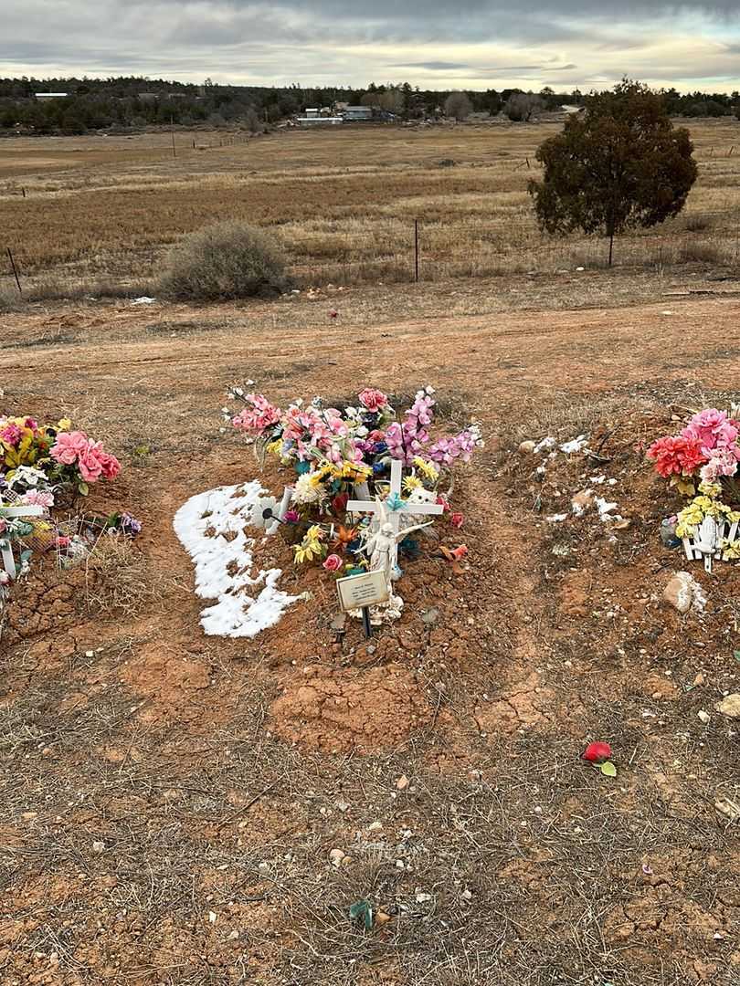 Rose E. Natan's grave. Photo 2