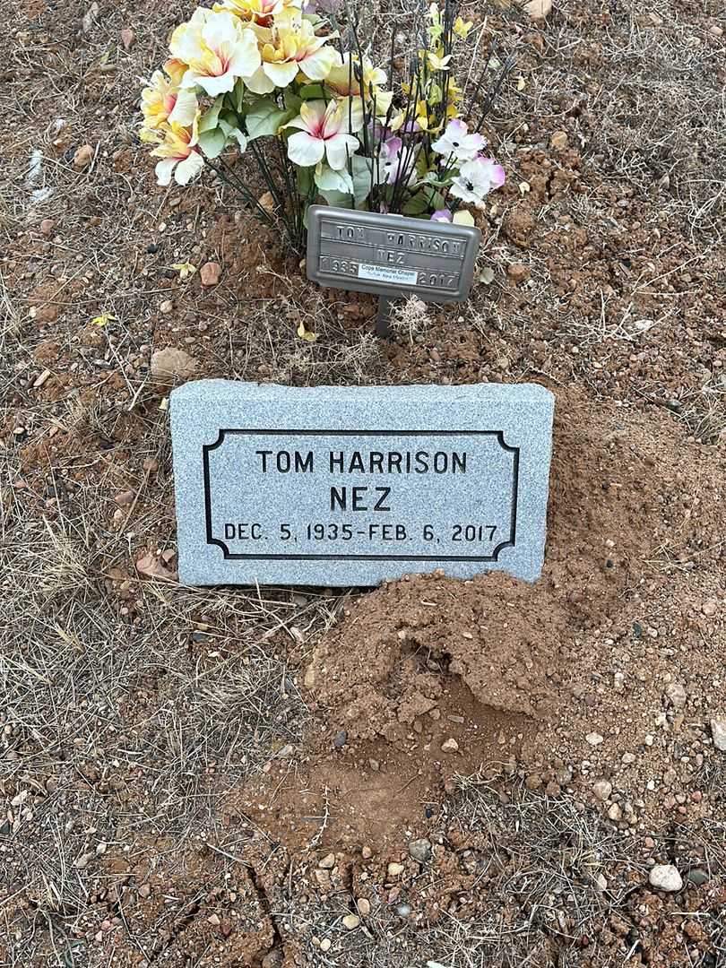 Tom Harrison Nez's grave. Photo 1