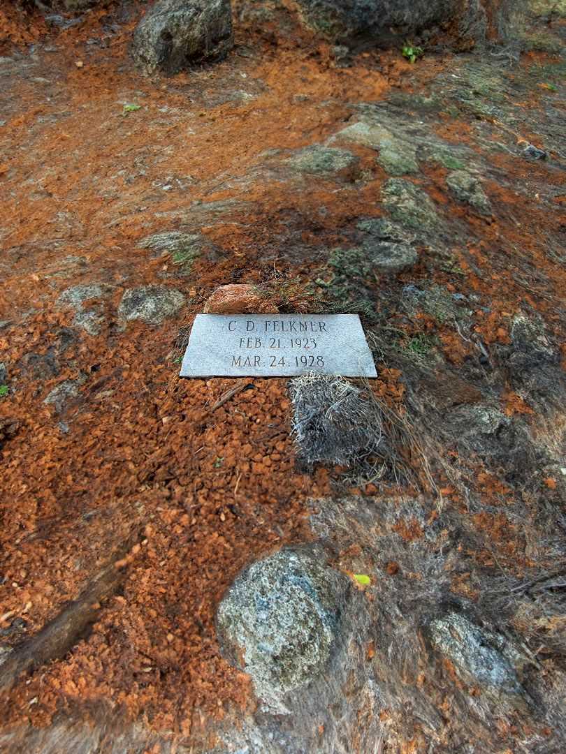 C. D. Felkner's grave. Photo 2