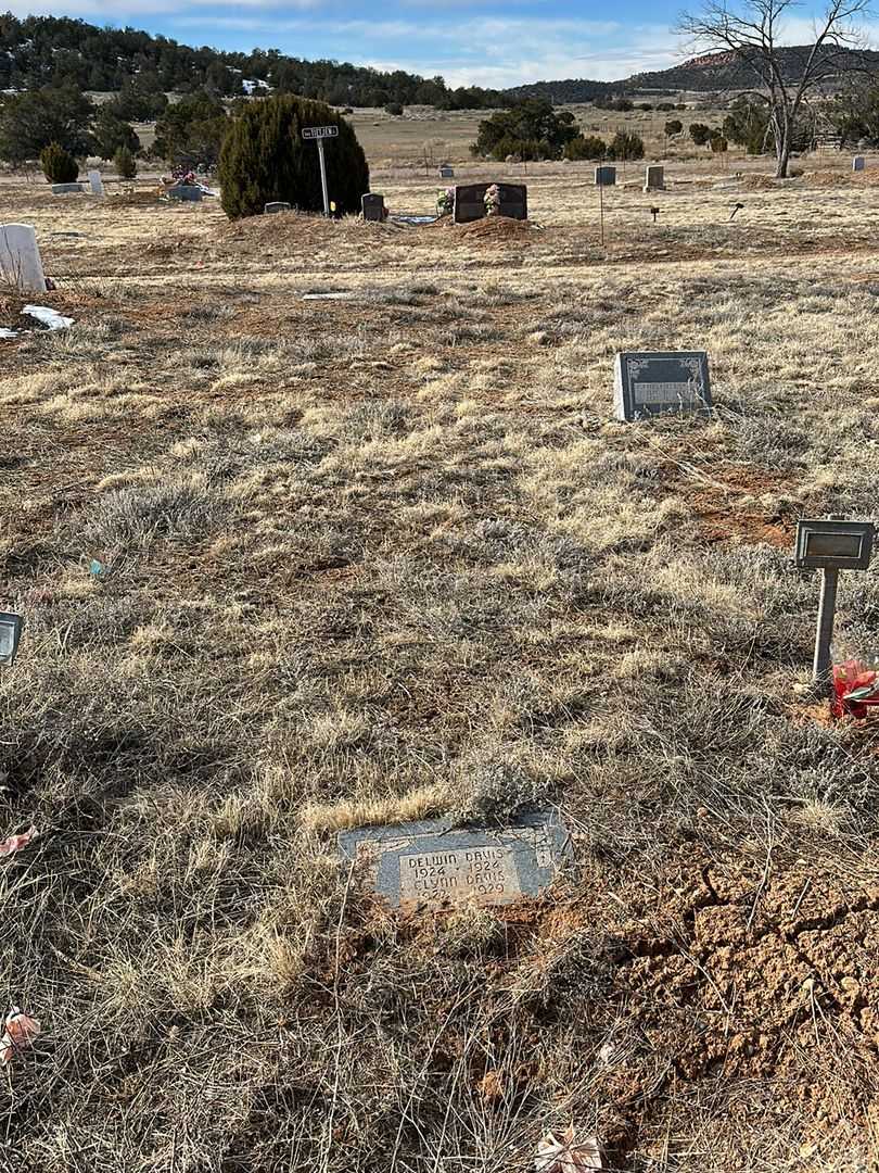 Delwin Elmer Davis's grave. Photo 2