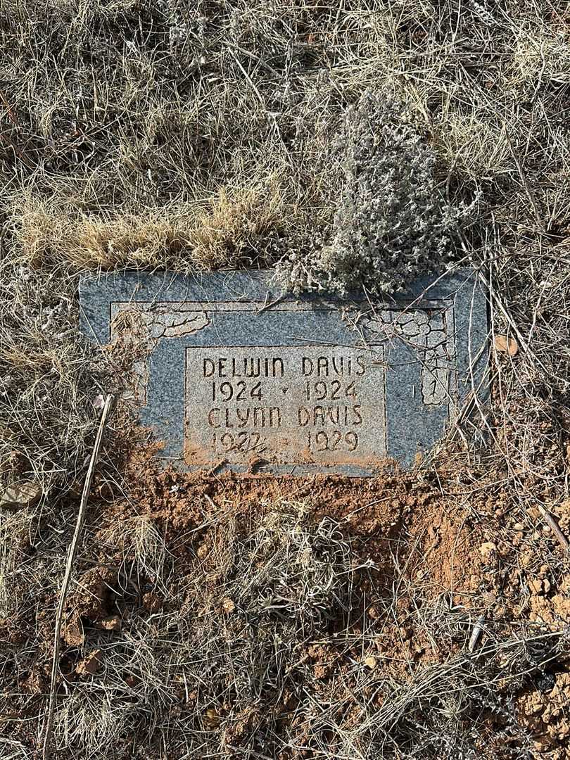 Delwin Elmer Davis's grave. Photo 1