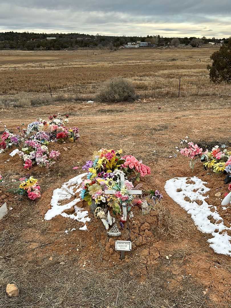 Joan Mae Natan-McGhee's grave. Photo 2