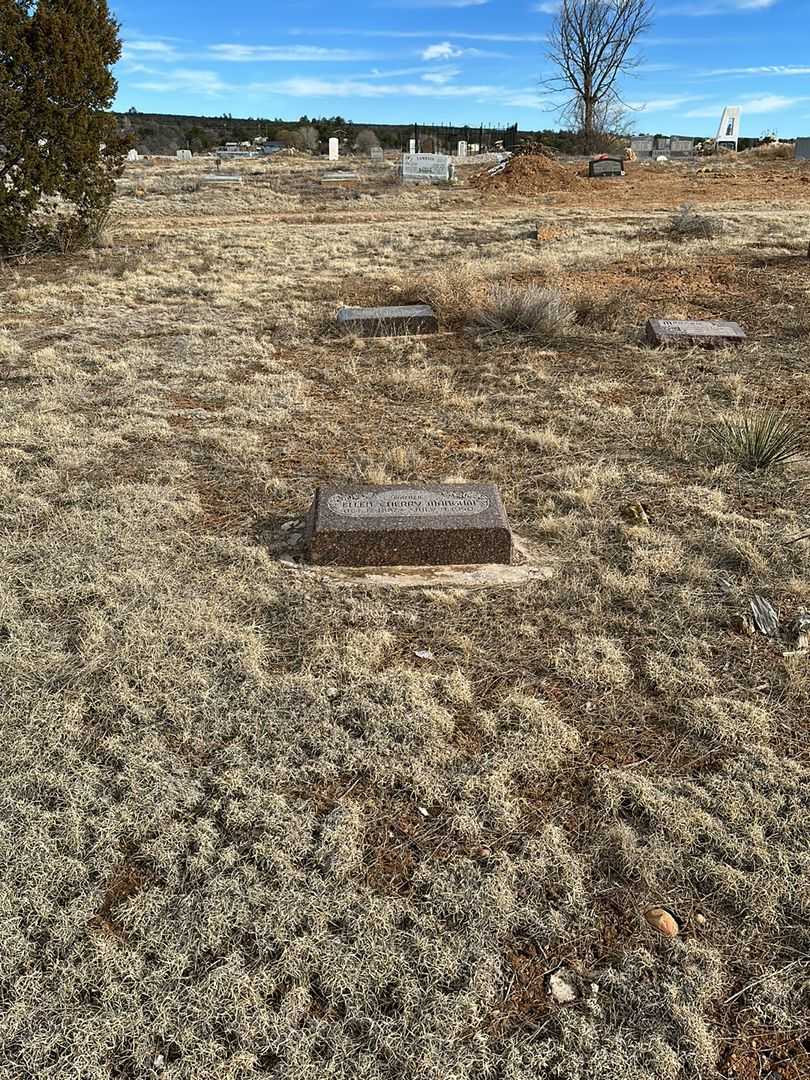 Ellen Cherry Mangum's grave. Photo 2