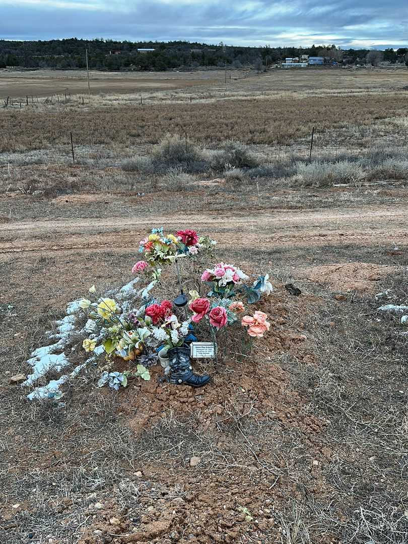 Jason Ray Antonio's grave. Photo 2