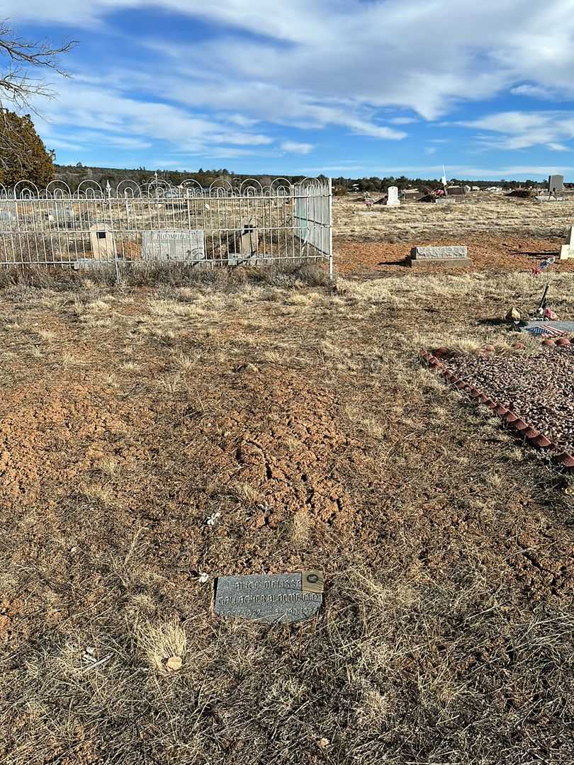 Alice Melisa Gallagher Bloomfield's grave. Photo 2