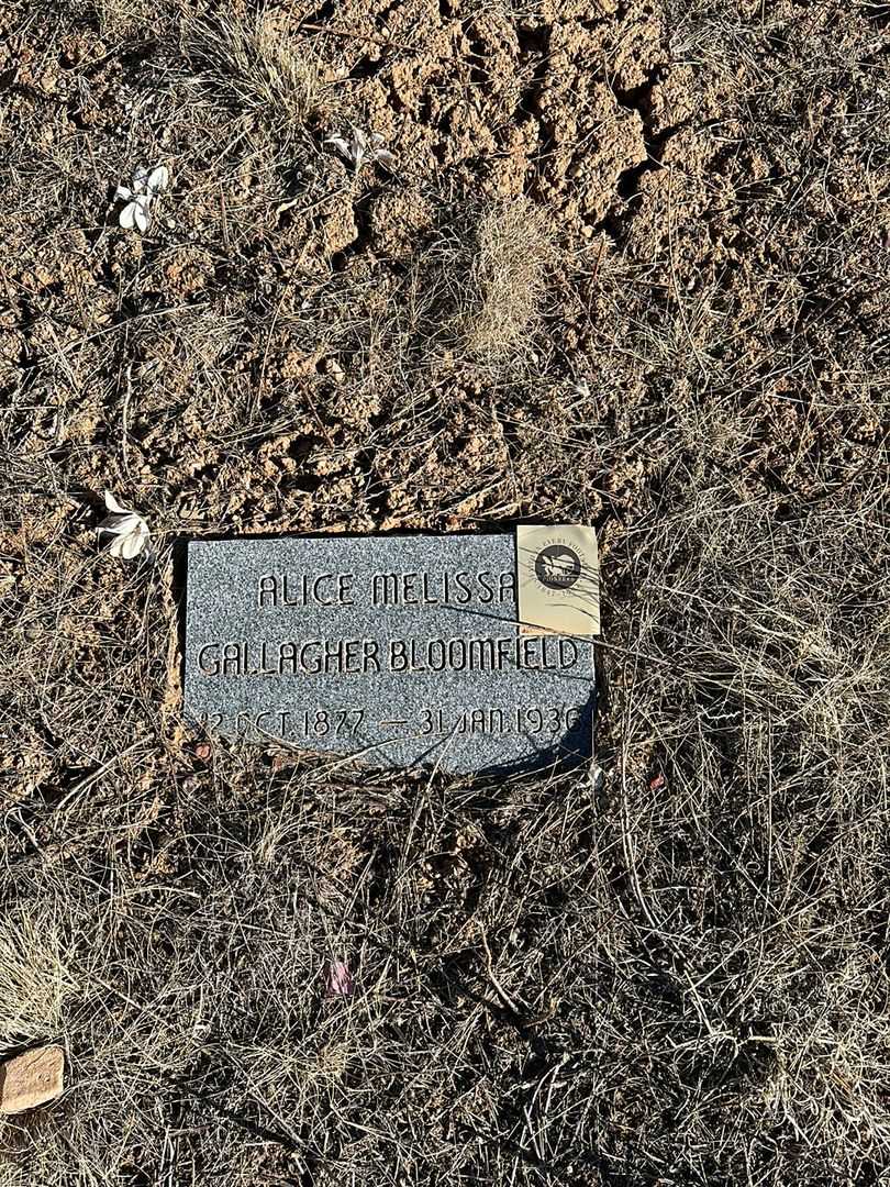 Alice Melisa Gallagher Bloomfield's grave. Photo 1